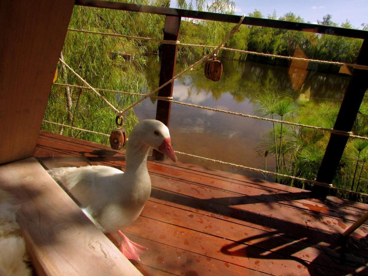 Glamping Cantabria Tunja Dış mekan fotoğraf